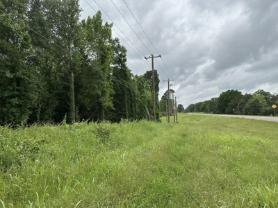 East Texas Recreational Land For Sale - image 7