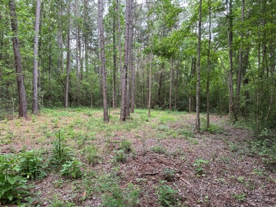 East Texas Recreational Land For Sale - image 10