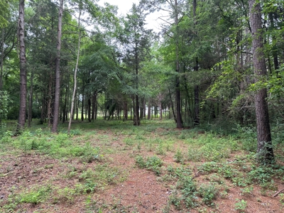 East Texas Recreational Land For Sale - image 14
