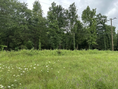 East Texas Recreational Land For Sale - image 8