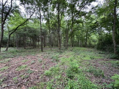 East Texas Recreational Land For Sale - image 3