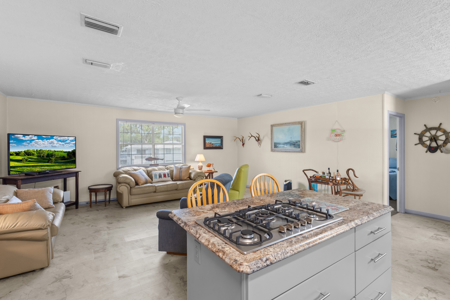 Florida Coastal Home For Sale Suwannee Dixie County Florida - image 4