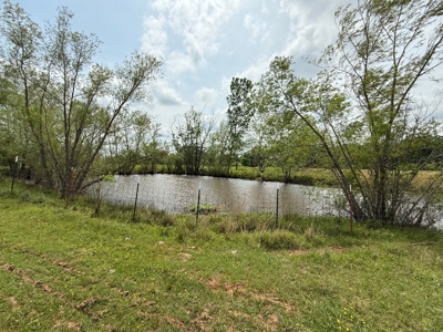 Cow Pasture For Sale in De Kalb Texas - image 3
