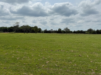 Cow Pasture For Sale in De Kalb Texas - image 8