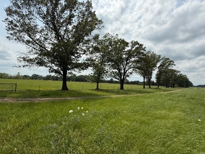 Cow Pasture For Sale in De Kalb Texas - image 1