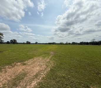 Cow Pasture For Sale in De Kalb Texas - image 10