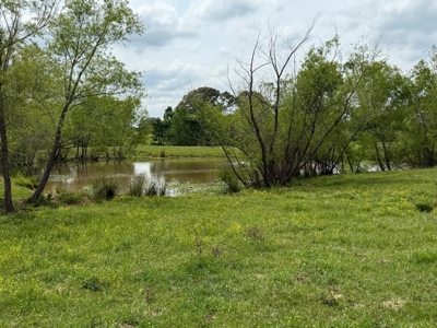 Cow Pasture For Sale in De Kalb Texas - image 5