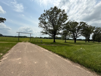 Cow Pasture For Sale in De Kalb Texas - image 2