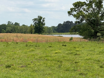 Cow Pasture For Sale in De Kalb Texas - image 6