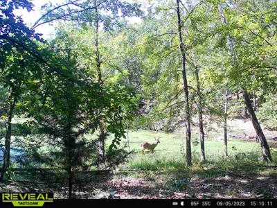 Hunting Land For Sale in Mayes County, Oklahoma - image 27