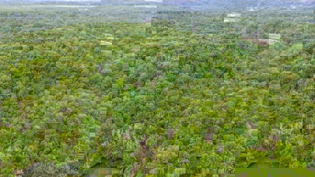 Mayes County Oklahoma Land For Sale - image 10