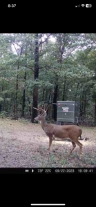 Hunting Land For Sale in Mayes County, Oklahoma - image 26