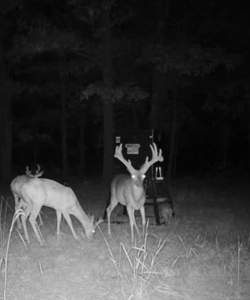 Hunting Land For Sale in Mayes County, Oklahoma - image 25