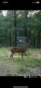 Hunting Land For Sale in Mayes County, Oklahoma - image 24