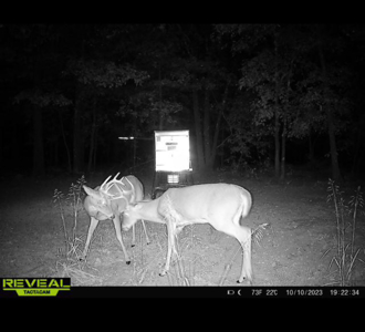 Hunting Land For Sale in Mayes County, Oklahoma - image 21