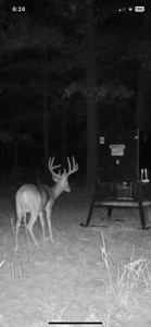 Hunting Land For Sale in Mayes County, Oklahoma - image 29