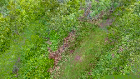 Mayes County Oklahoma Land For Sale - image 13