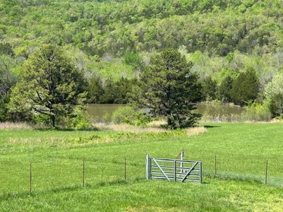 Newton Co 6 Bedroom, 3 Bath Brick Home on 67.75 Acres For Sale - image 45