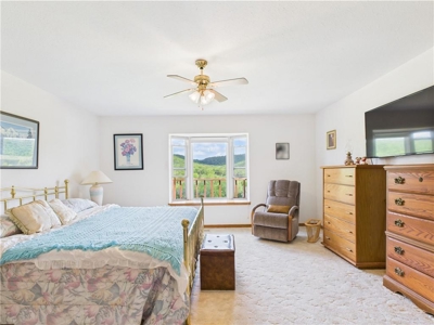 Newton Co 6 Bedroom, 3 Bath Brick Home on 67.75 Acres For Sale - image 11