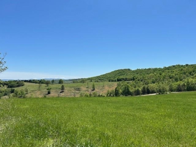 Newton Co 6 Bedroom, 3 Bath Brick Home on 67.75 Acres For Sale - image 43