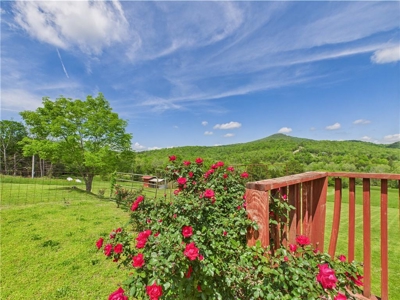 Newton Co 6 Bedroom, 3 Bath Brick Home on 67.75 Acres For Sale - image 42