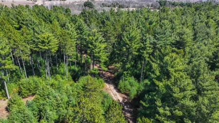 85 Acres For Sale in Waupaca County - image 7