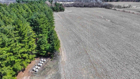 85 Acres For Sale in Waupaca County - image 6