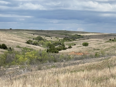 Western Oklahoma Hunting/Fishing/Ranch Land for Sale - image 5