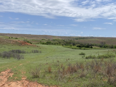 Western Oklahoma Hunting/Fishing/Ranch Land for Sale - image 6
