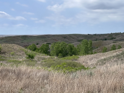 Western Oklahoma Hunting/Fishing/Ranch Land for Sale - image 3
