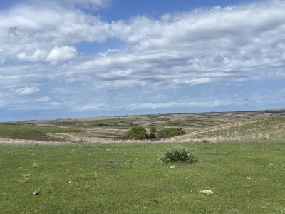 Western Oklahoma Hunting/Fishing/Ranch Land for Sale - image 8