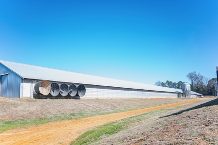 Poultry Farm For Sale In Dubach La On 29 Acres - image 8