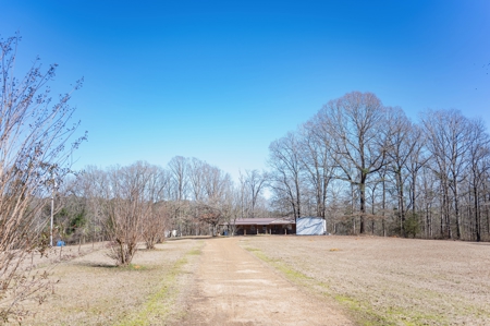 Poultry Farm For Sale In Dubach La On 29 Acres - image 11
