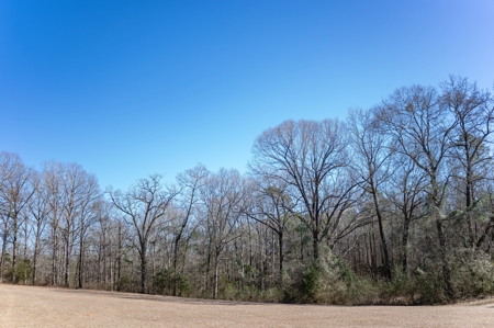 Poultry Farm For Sale In Dubach La On 29 Acres - image 13