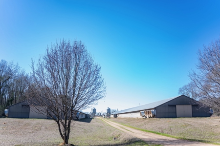 Poultry Farm For Sale In Dubach La On 29 Acres - image 12