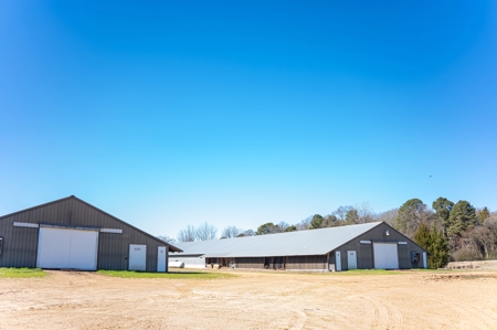 Poultry Farm For Sale In Dubach La On 29 Acres - image 2