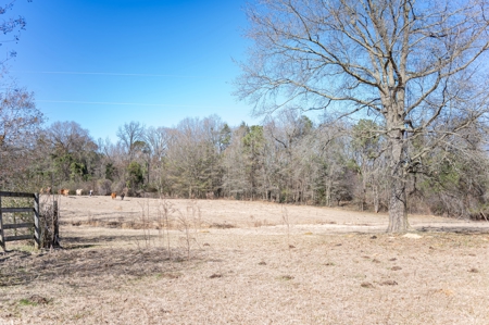 Poultry Farm For Sale In Dubach La On 29 Acres - image 16