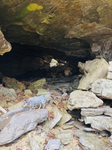 Land For Sale In The Arkansas Ozark Mountains - image 4