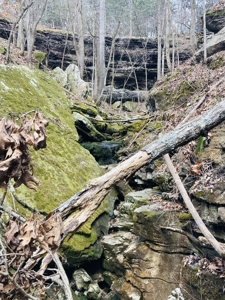 Land For Sale In The Arkansas Ozark Mountains - image 9