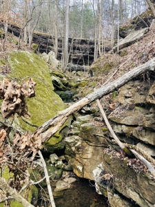 Land For Sale In The Arkansas Ozark Mountains - image 1