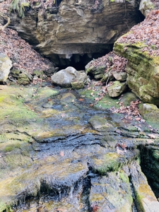 Land For Sale In The Arkansas Ozark Mountains - image 7