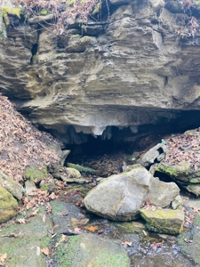 Land For Sale In The Arkansas Ozark Mountains - image 3