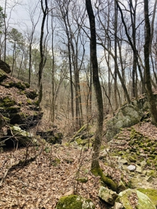 Land For Sale In The Arkansas Ozark Mountains - image 10