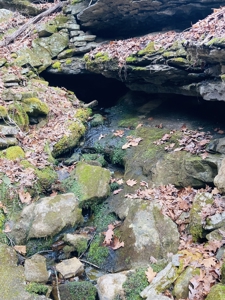 Land For Sale In The Arkansas Ozark Mountains - image 8