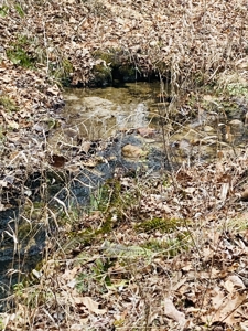 Land For Sale In The Arkansas Ozark Mountains - image 15