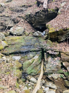 Land For Sale In The Arkansas Ozark Mountains - image 2