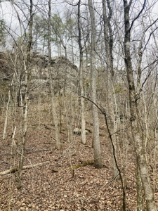 Land For Sale In The Arkansas Ozark Mountains - image 13