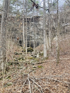 Land For Sale In The Arkansas Ozark Mountains - image 11