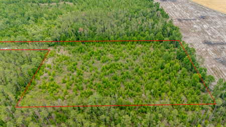 5 Acres on Paved Road – No Flood Zone, Mobiles Allowed! - image 15
