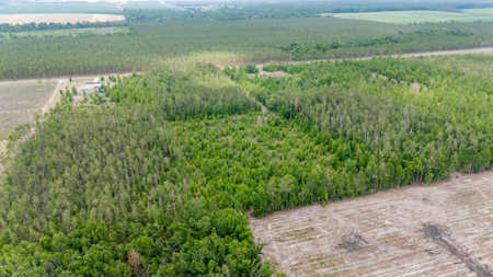 5 Acres on Paved Road – No Flood Zone, Mobiles Allowed! - image 13
